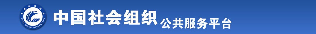 喷浆流水的bAV全国社会组织信息查询